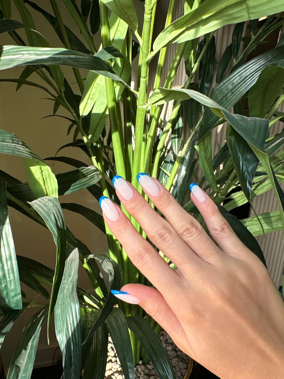 سالن زیبایی فاطمه روحی